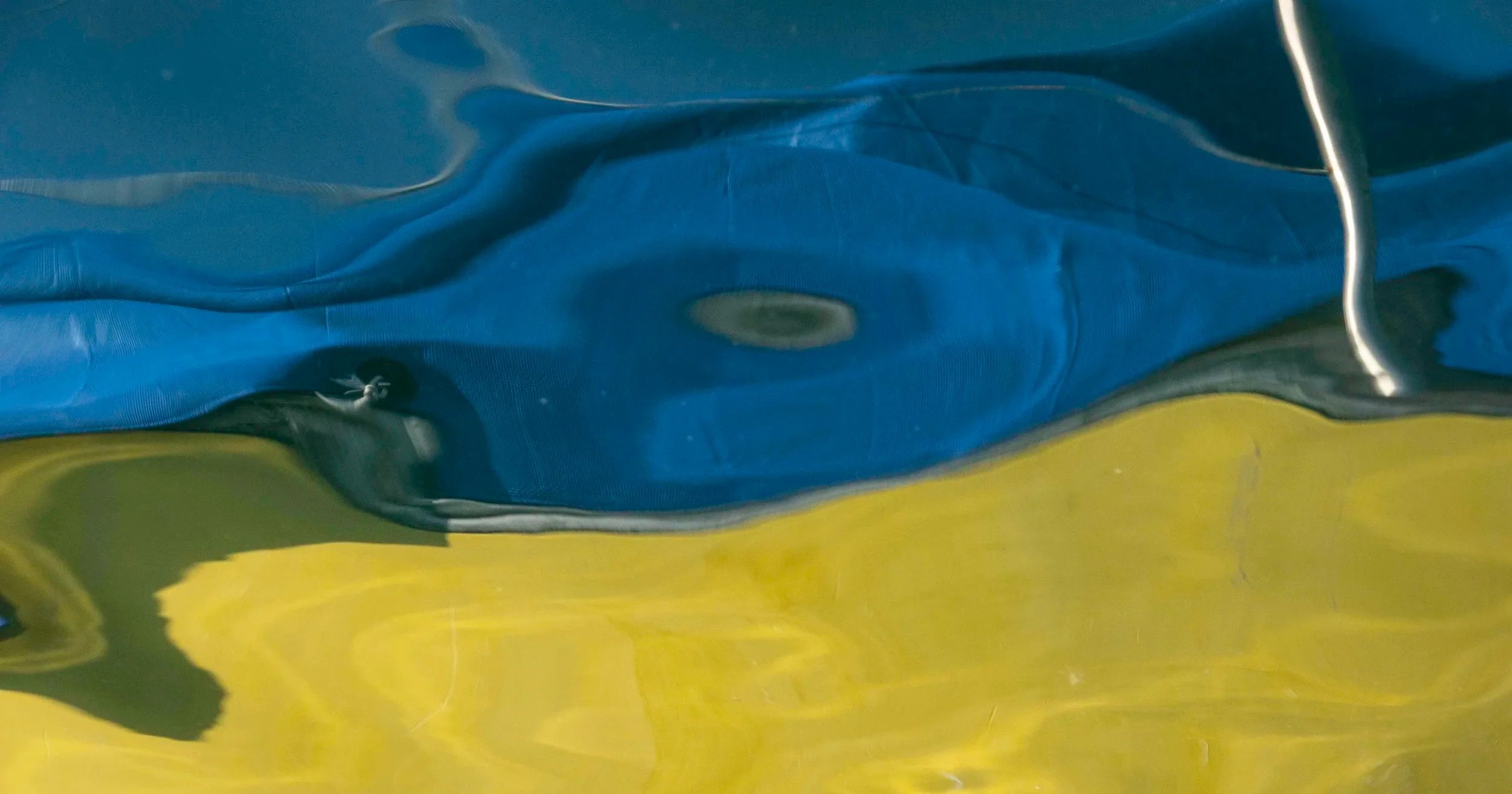Exploring the Submerged Realm: AI, Photography & the Art of Seeing