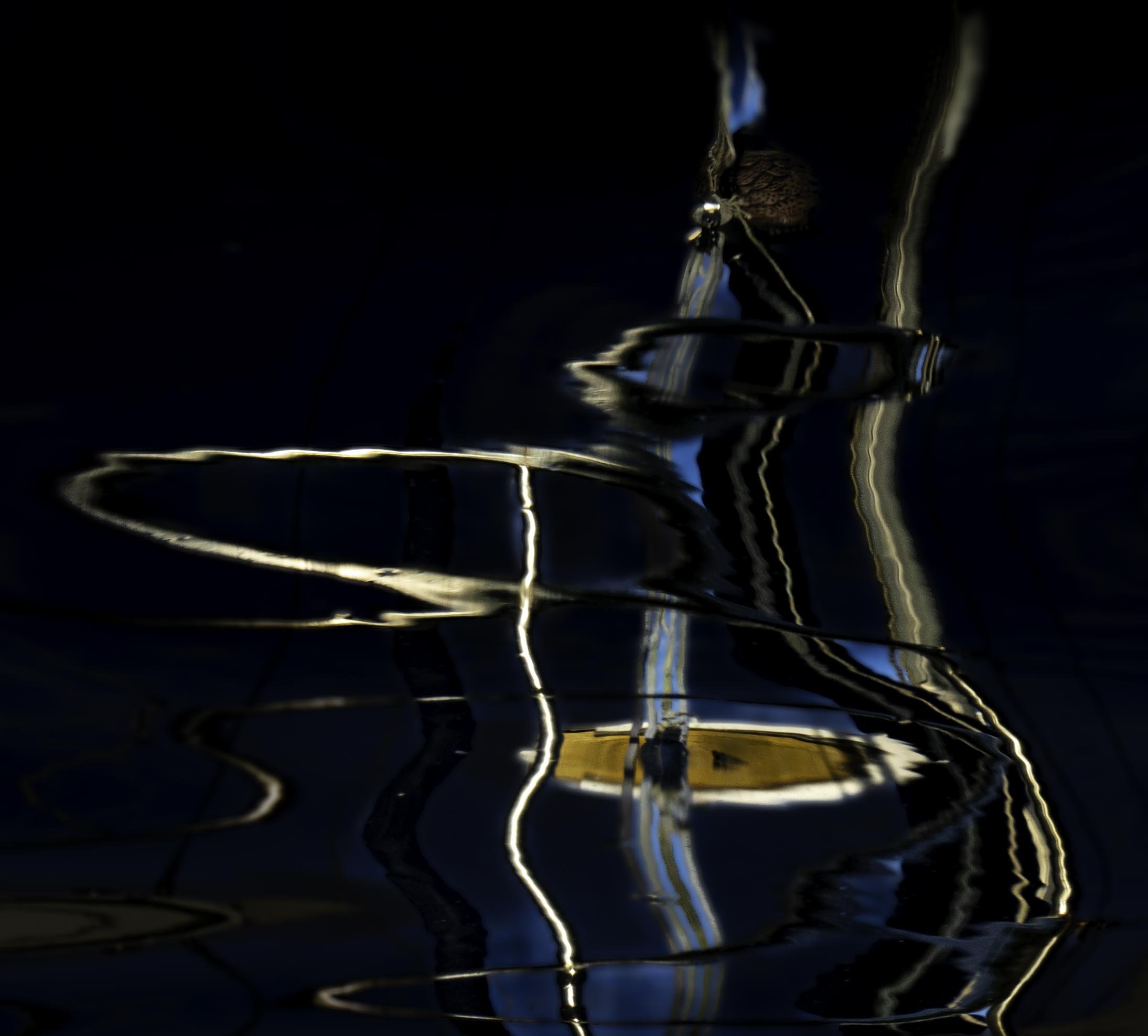 The Untitled Experiment: A Collaboration Between Artist and Beholder