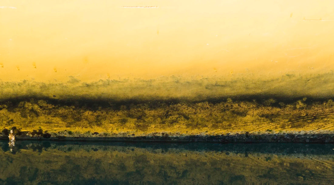 Impressions of a Turner Landscape – Sunrise: Light, Memory, and Turner’s Legacy