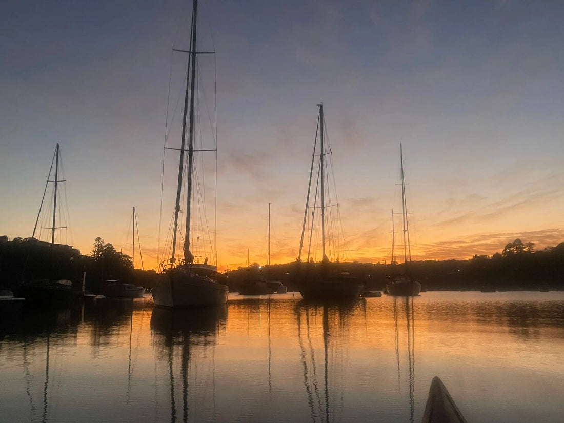 Capturing the Aesthetics of Middle Harbour