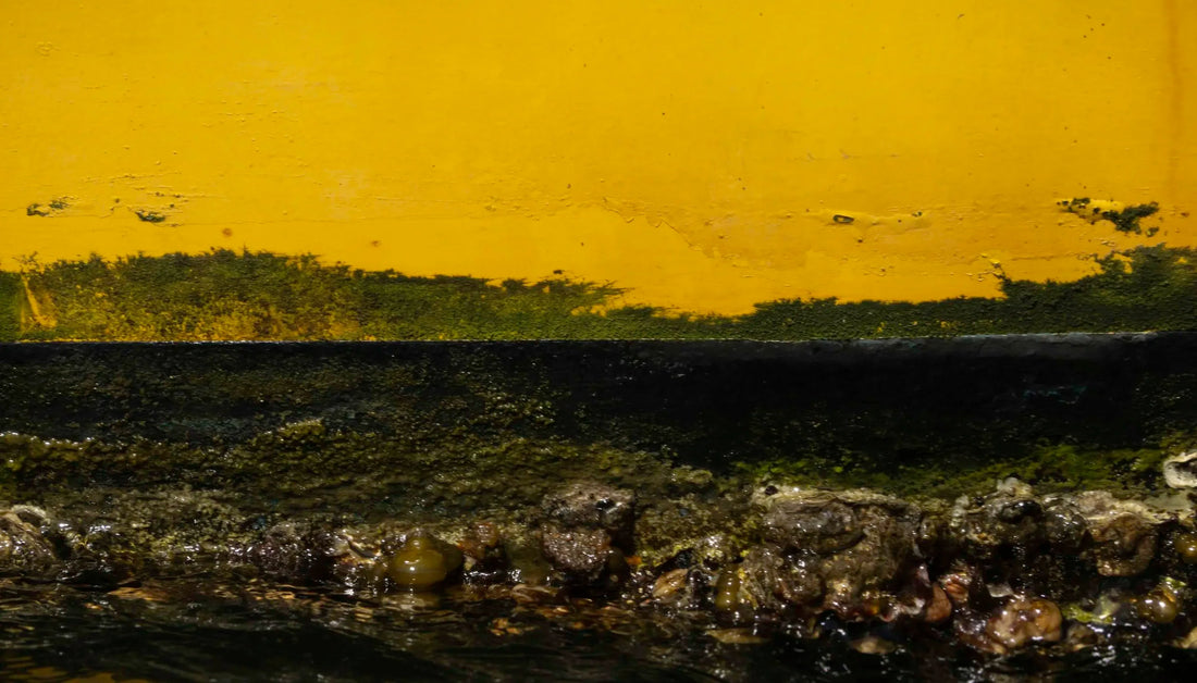 Beneath a Golden Horizon: A Drift into the LandEscapes Collection