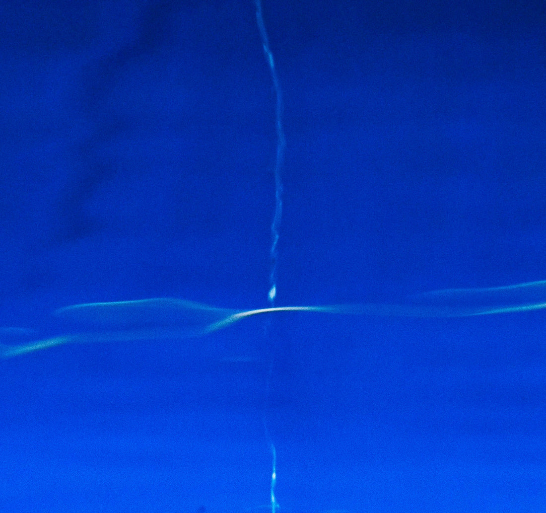 Blue Thoughtfulness: A Fine Art Photography dialogue with Painters