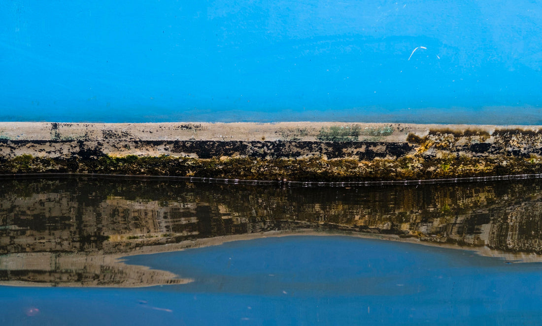 My Photographic Journal 2