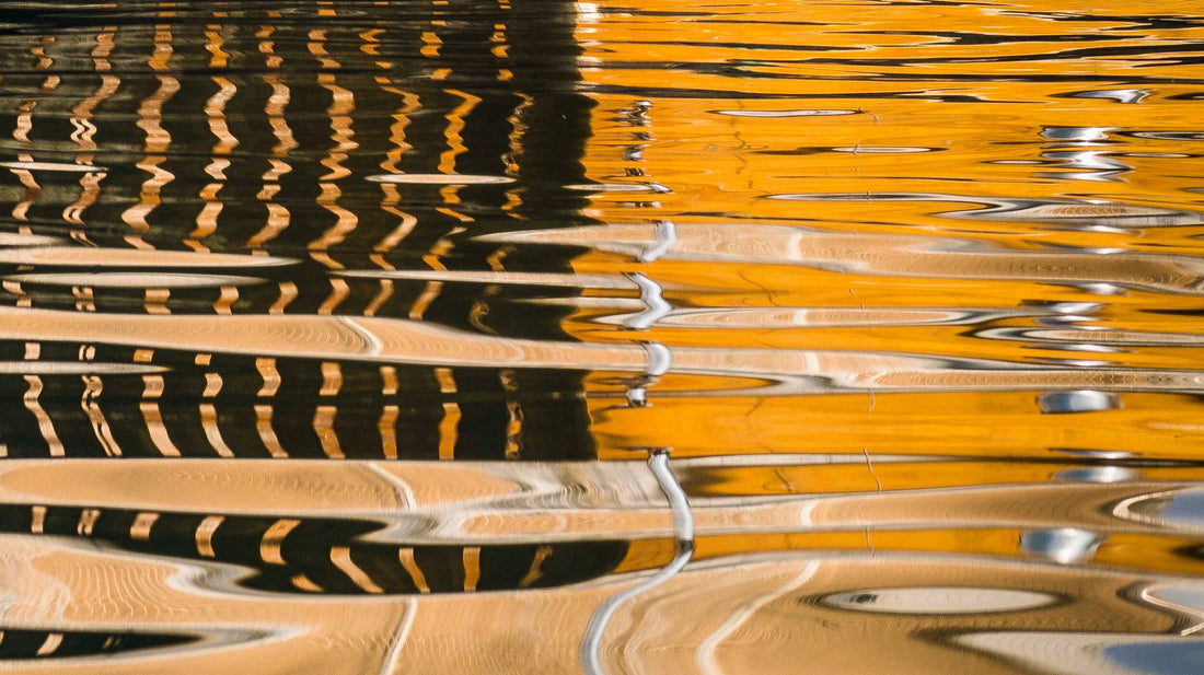 Nature Abstracts