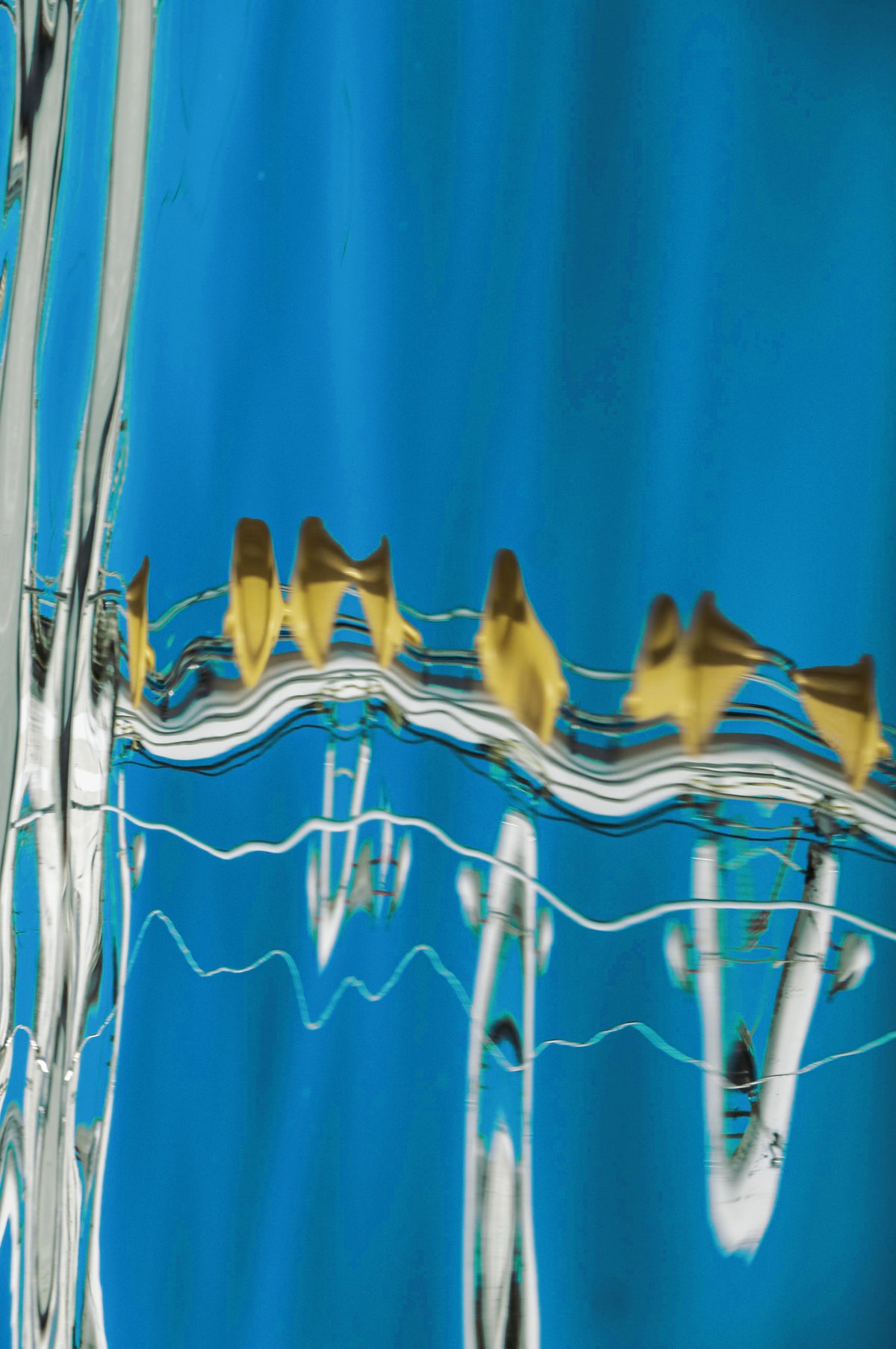 The Water Ballet by Ralph Kerle, golden forms dancing above rippling white lines against a deep blue water reflection.