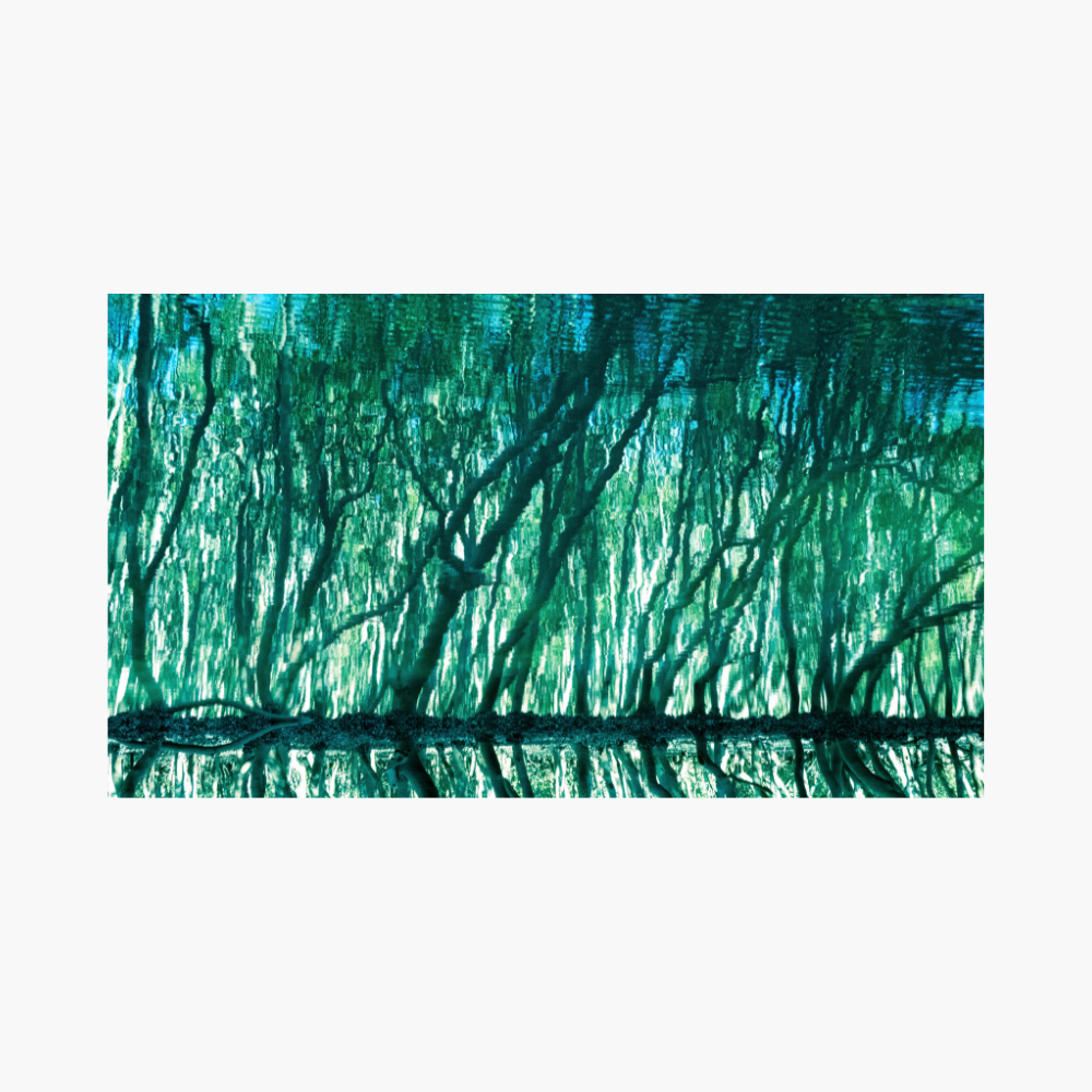 Treecolour