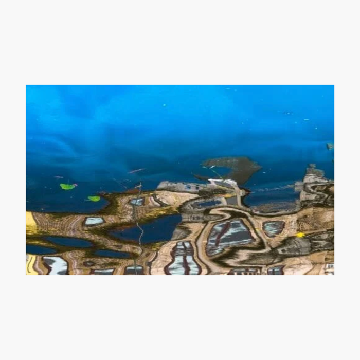 Jules Verne's Seascape