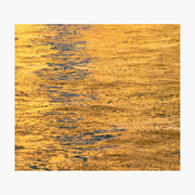 Gold Leaf on Water 2