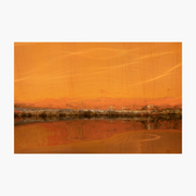 Morning in Orange Heaven
