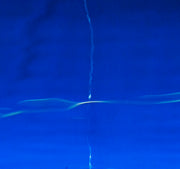 Blue Thoughtfulness