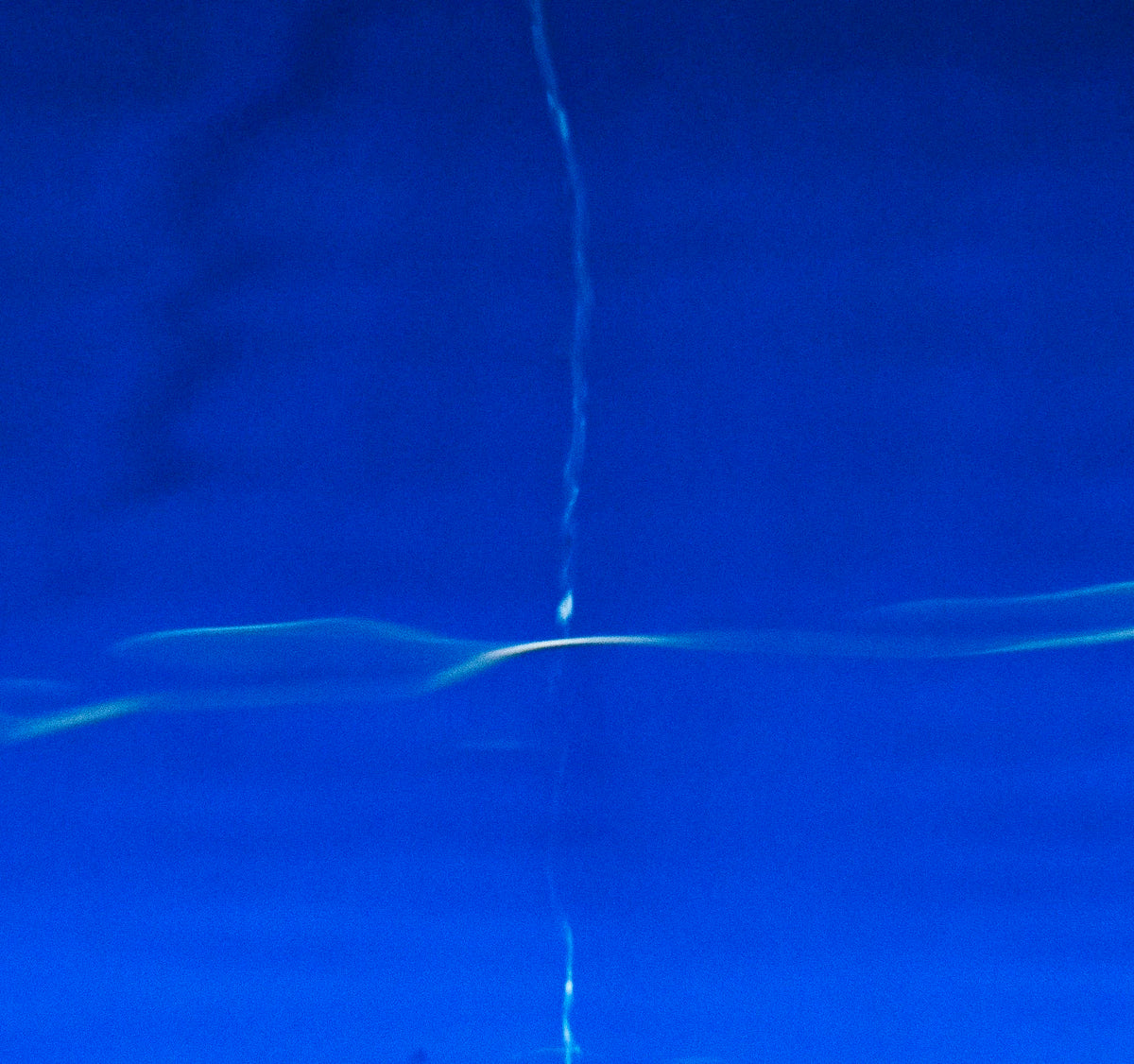 Blue Thoughtfulness