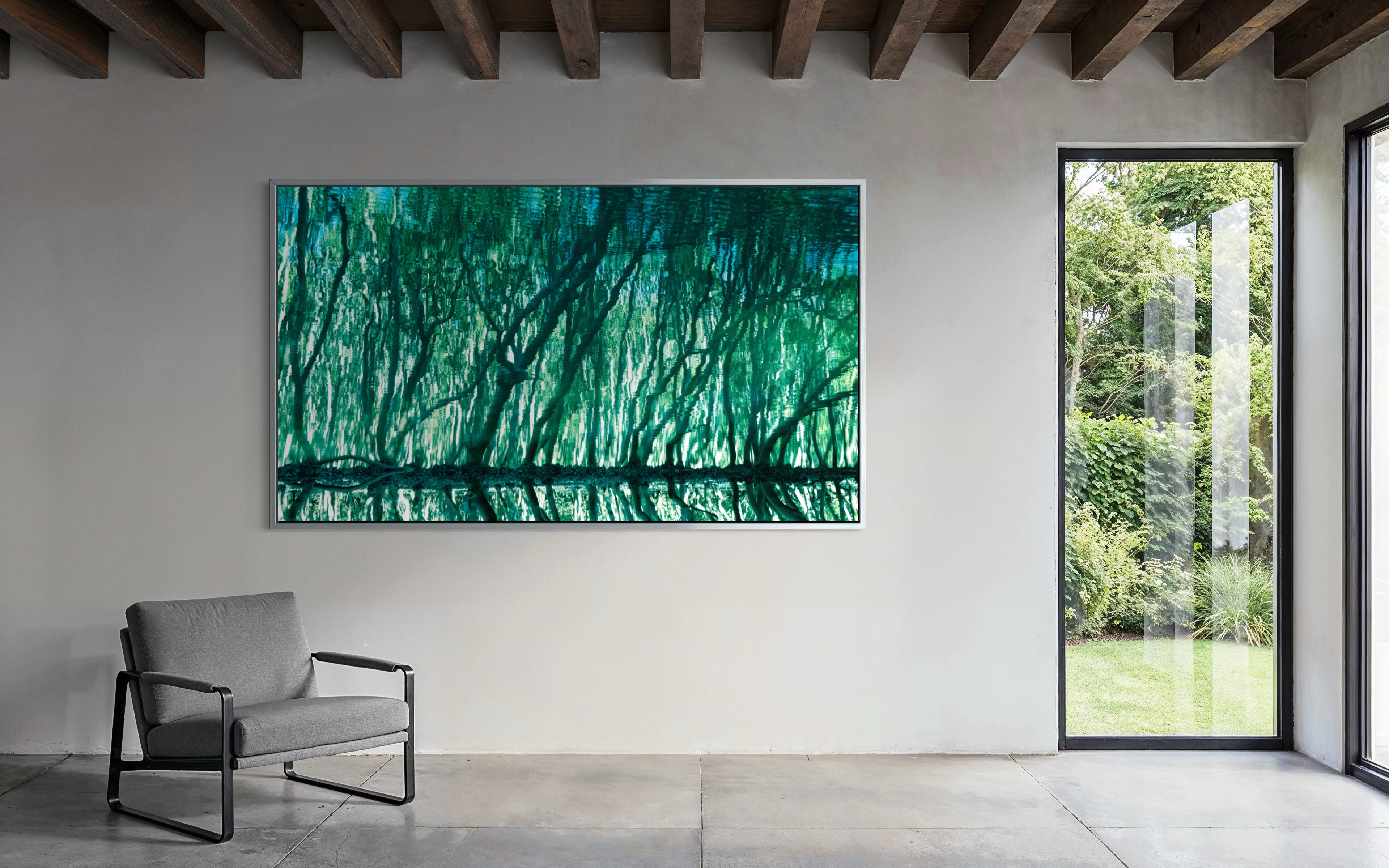 Treecolour by Ralph Kerle displayed in situ, view 3.