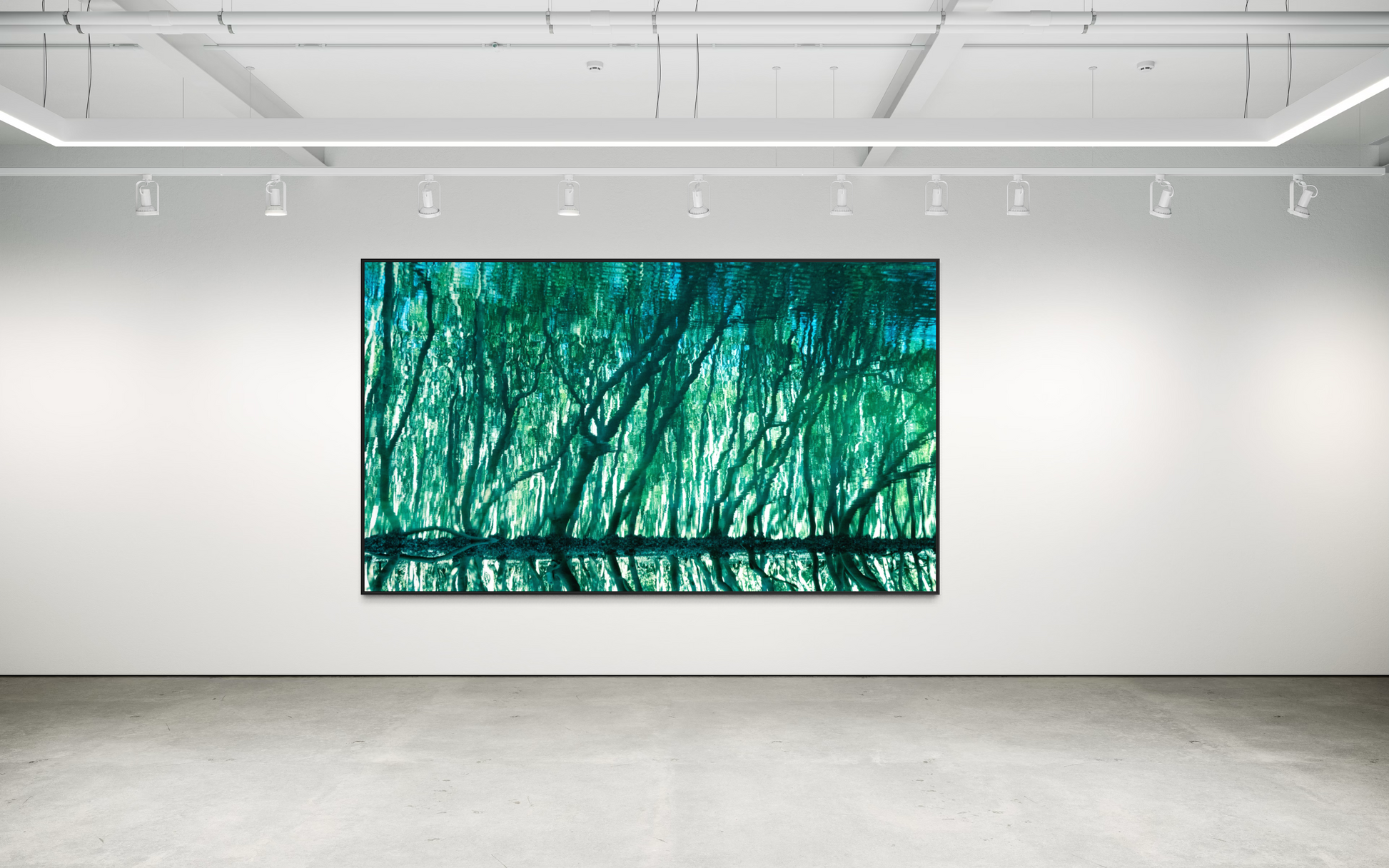 Treecolour by Ralph Kerle displayed in situ, view 5.