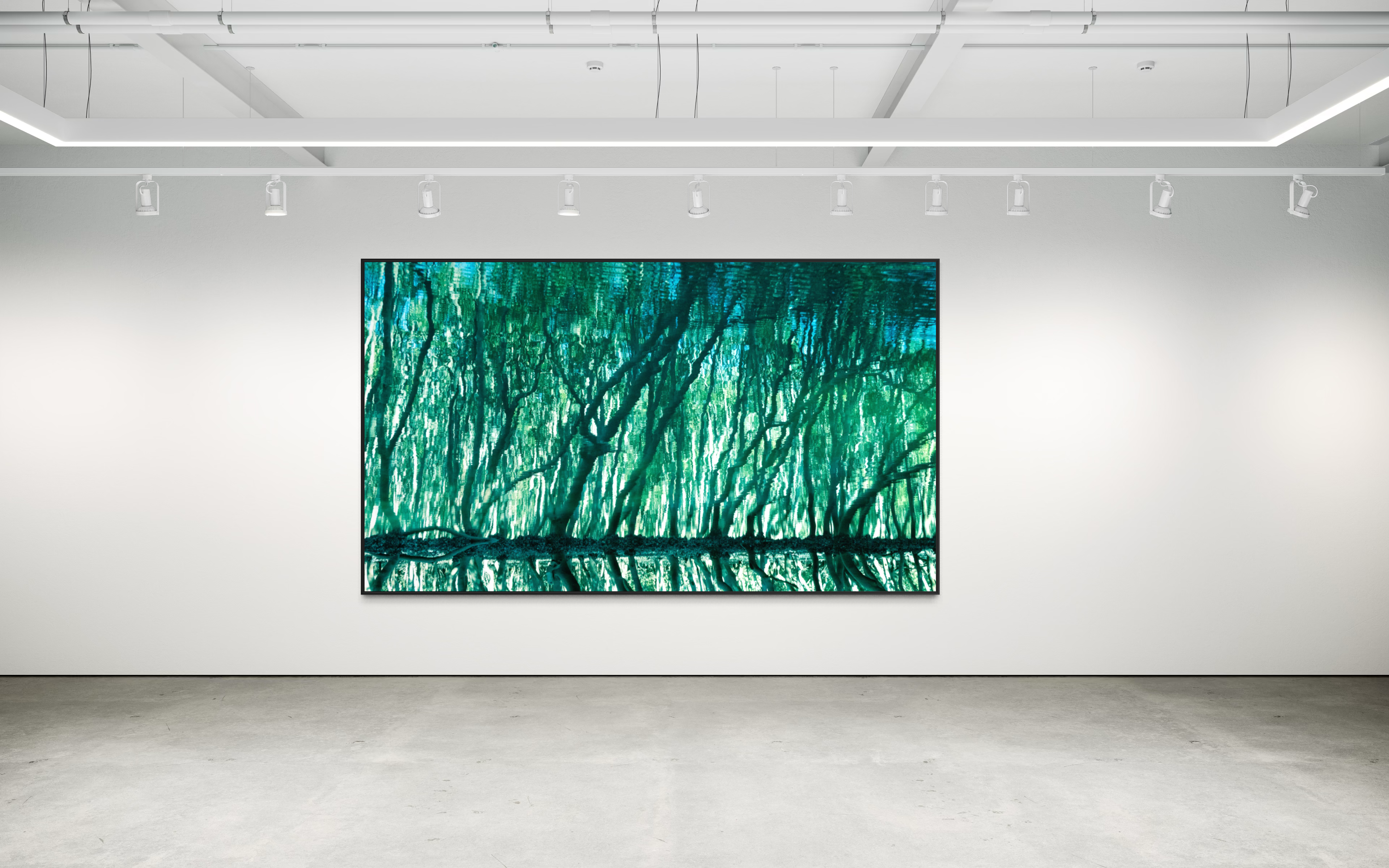 Treecolour by Ralph Kerle displayed in situ, view 5.