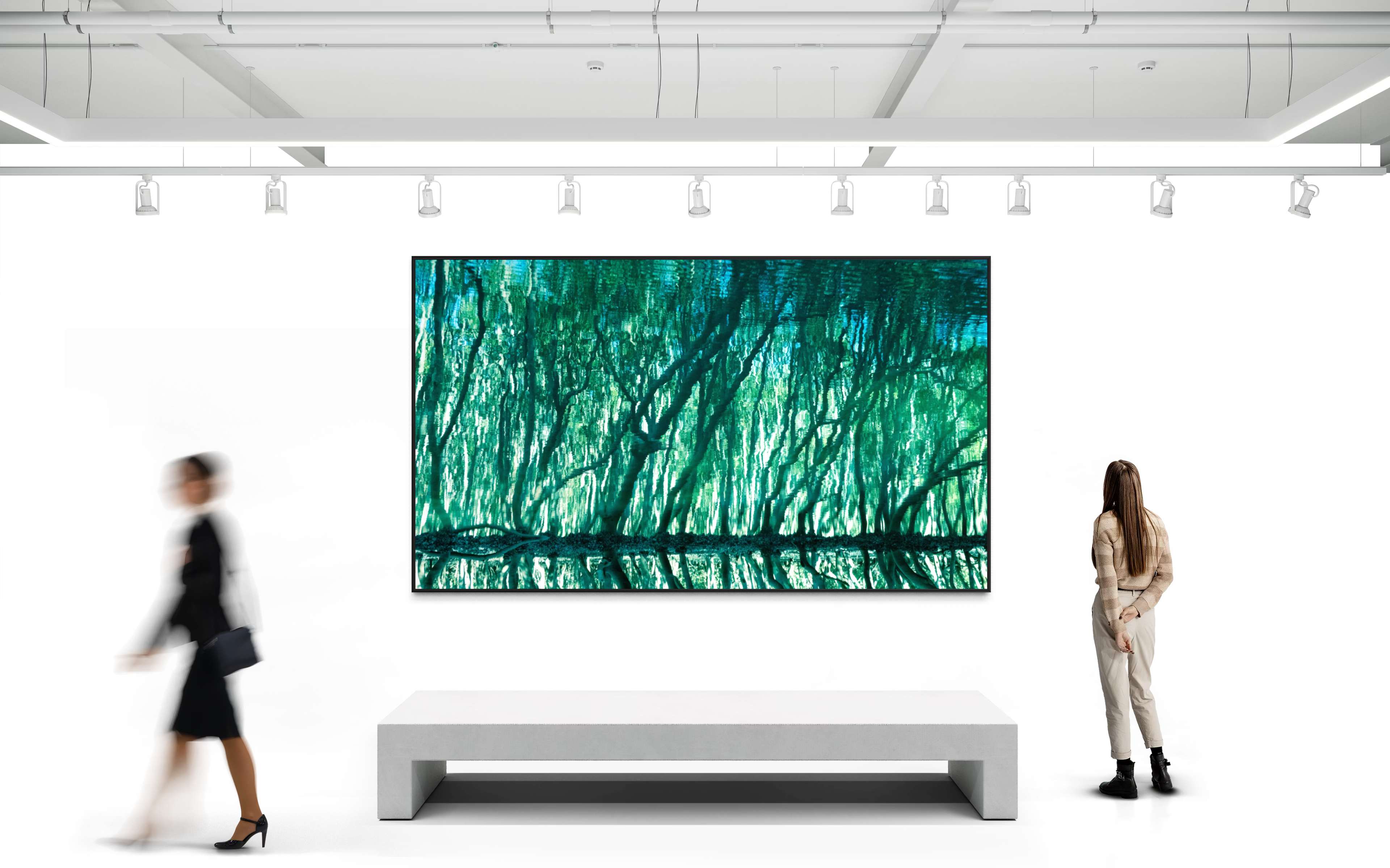 Treecolour by Ralph Kerle displayed in situ, view 6.