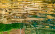 Nature's Watercolours 1