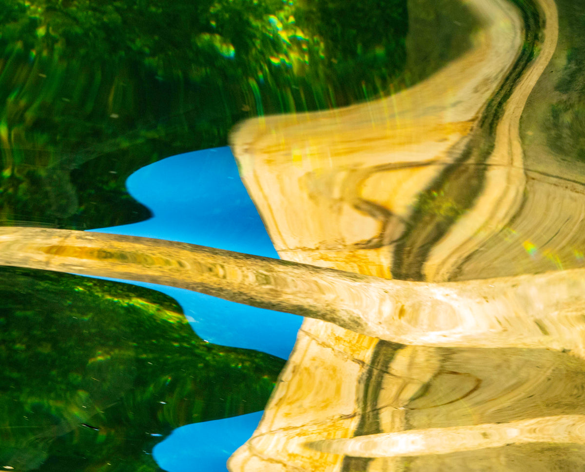 Nature's Infrastructure by Ralph Kerle - in-context installation view