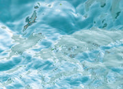 Pollock's Pool