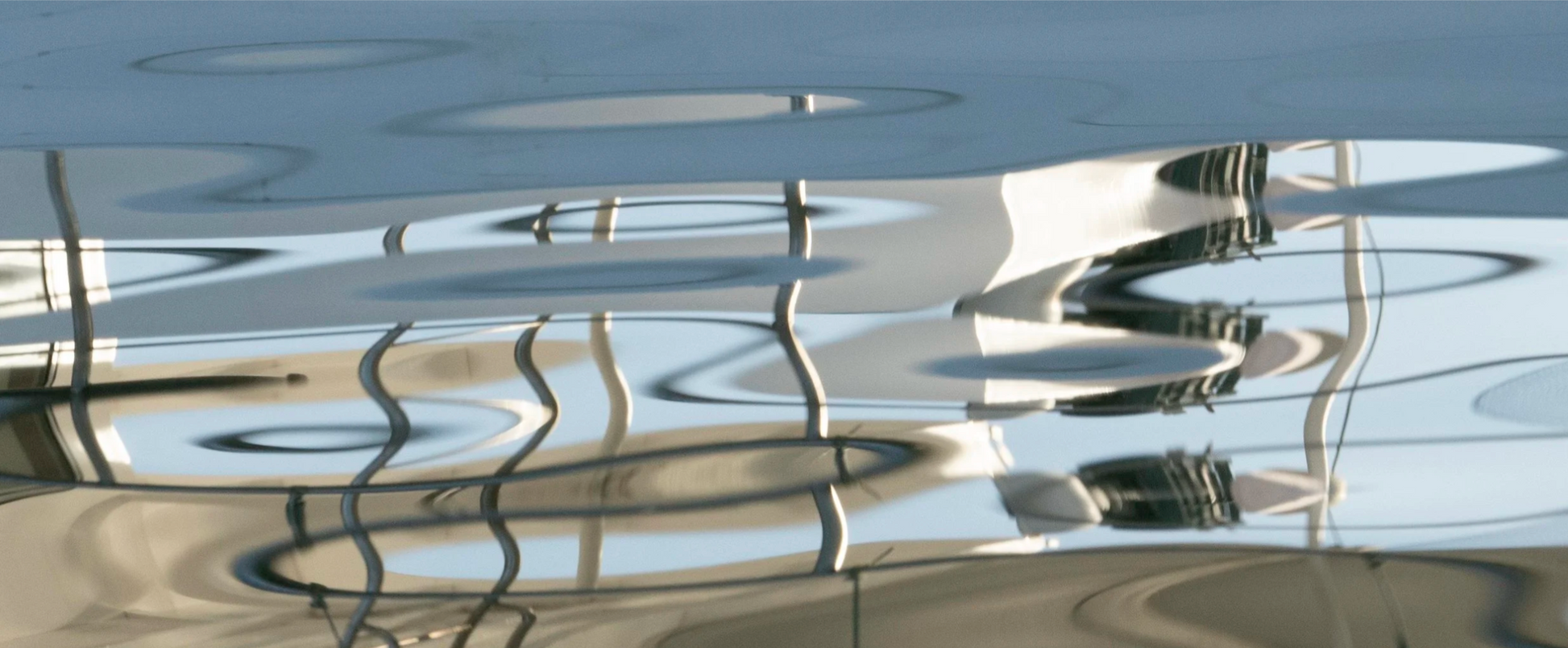 Ripples on a reflective water surface
