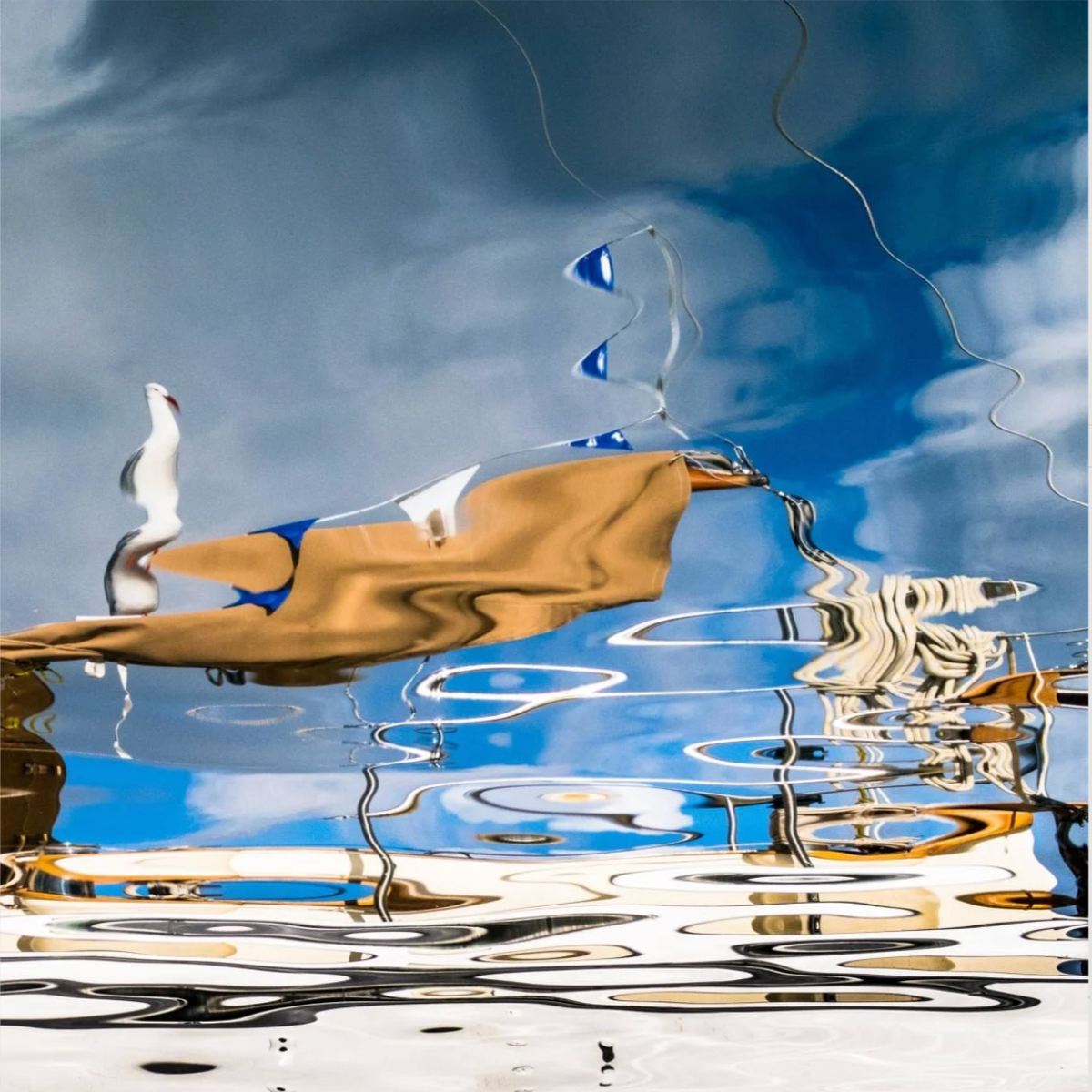 Captain C. Gull in Charge by Ralph Kerle displayed in modern interior setting