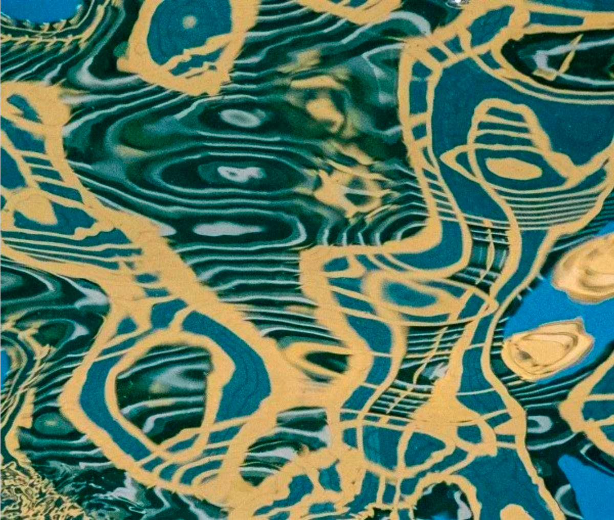 Matisse's Desert Ebru 1 by Ralph Kerle - in-context installation view