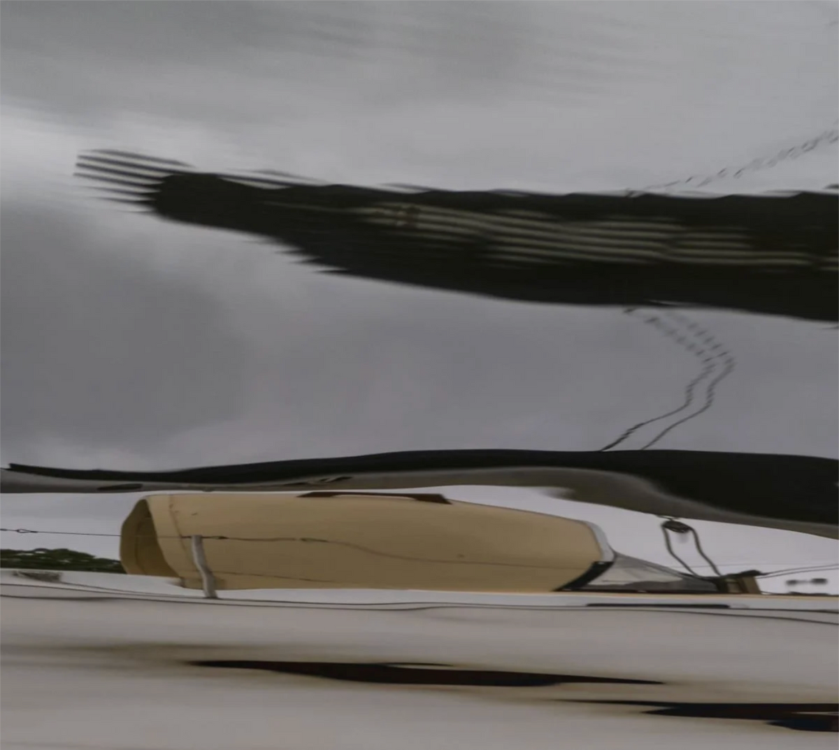The Eagle Flies by Ralph Kerle - in-context installation view