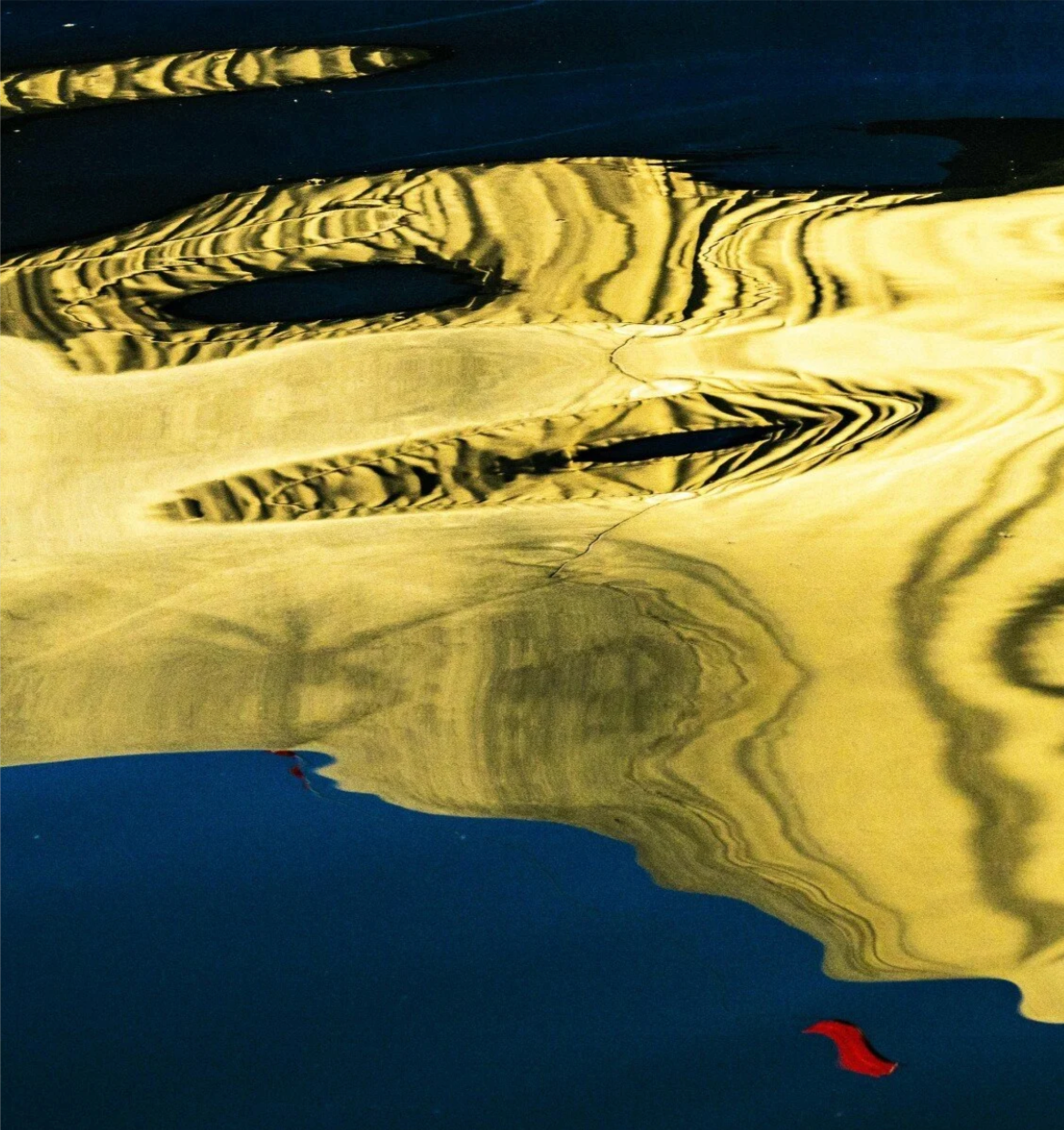The Golden Trilobite