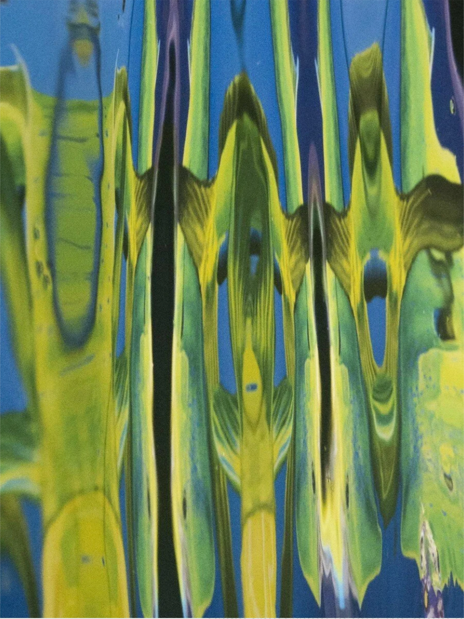Underwater Lilies