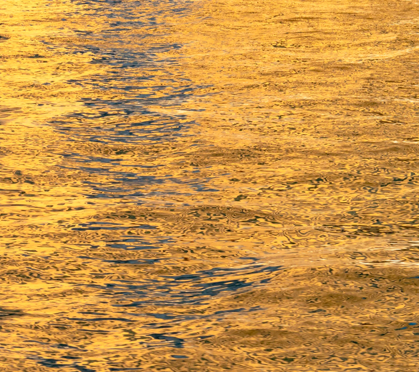 Gold Leaf on Water 2