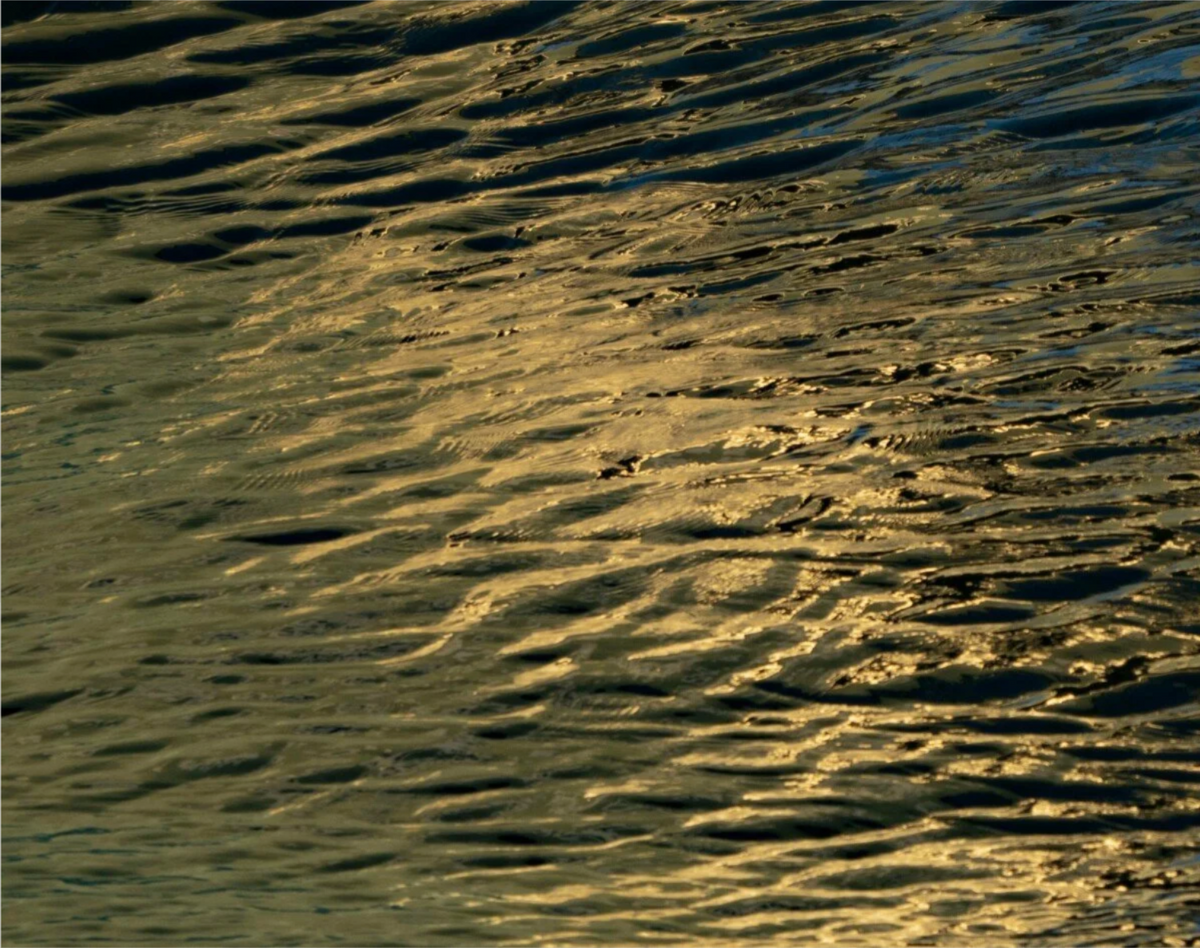 Golden Ripples by Ralph Kerle - in-context installation view