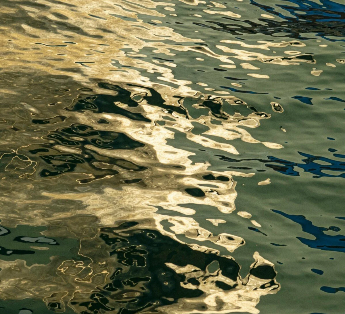 Green and Gold by Ralph Kerle - in-context installation view