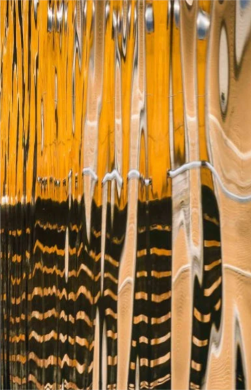 Orange Water Geometry – Vertical by Ralph Kerle - in-context installation view
