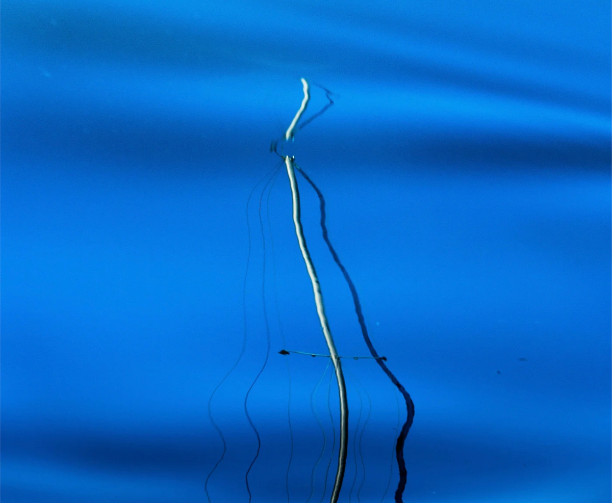 Pin To Blue by Ralph Kerle - in-context installation view