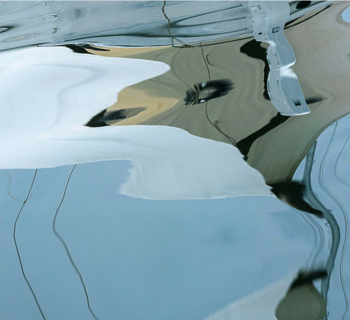 The Albatross's View by Ralph Kerle - in-context installation view