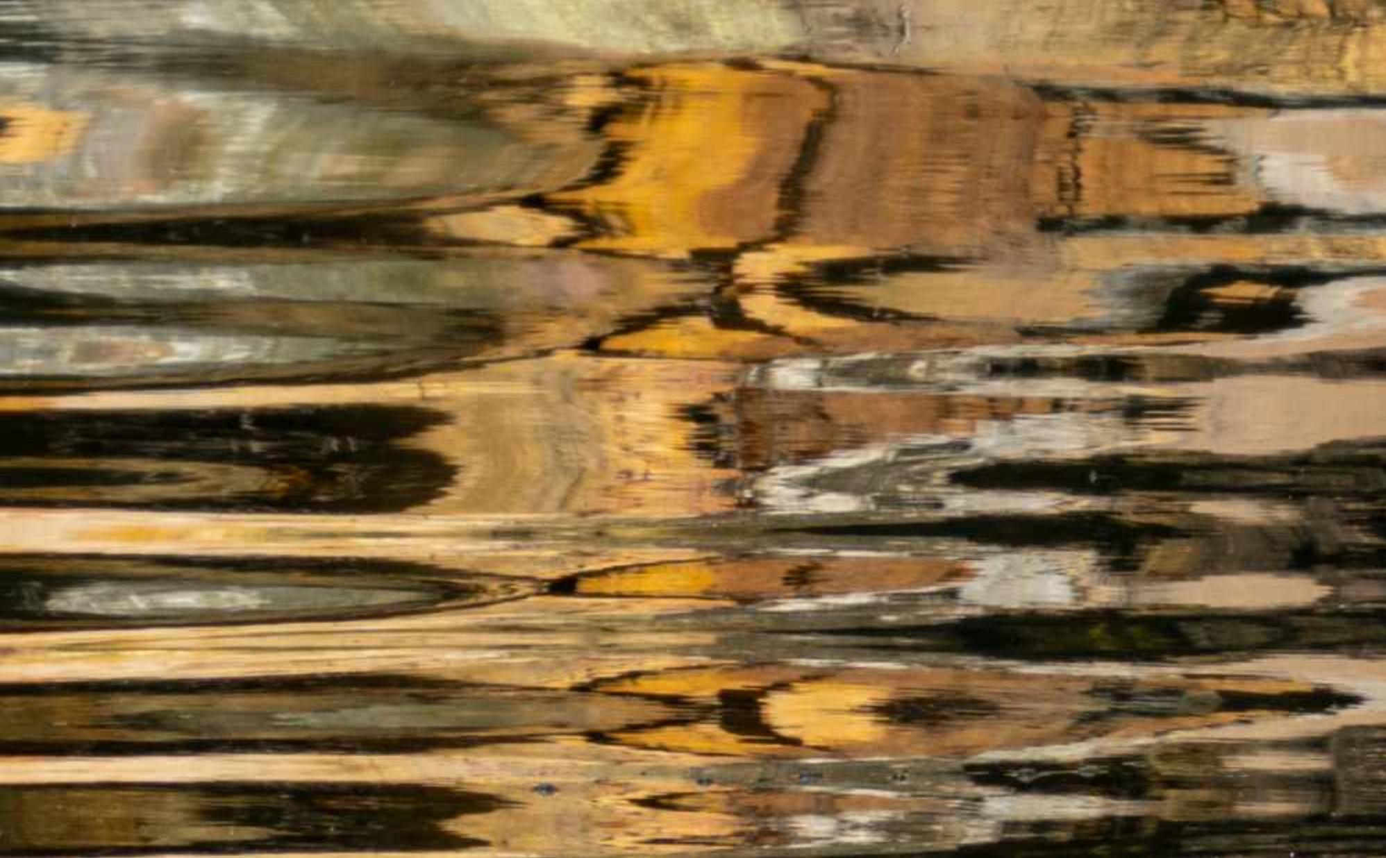 Close-up of a textured wooden surface with brown and gray tones