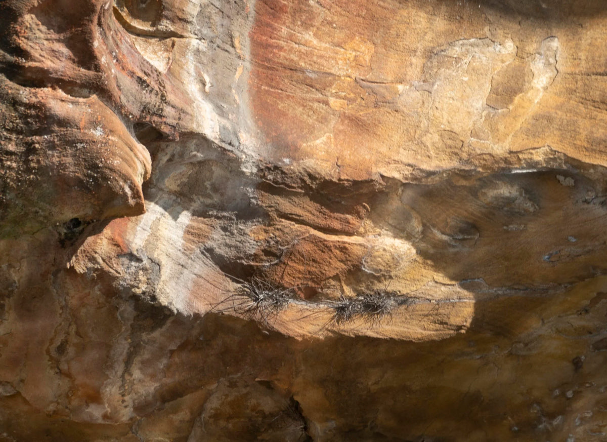 Strokes of Stone
