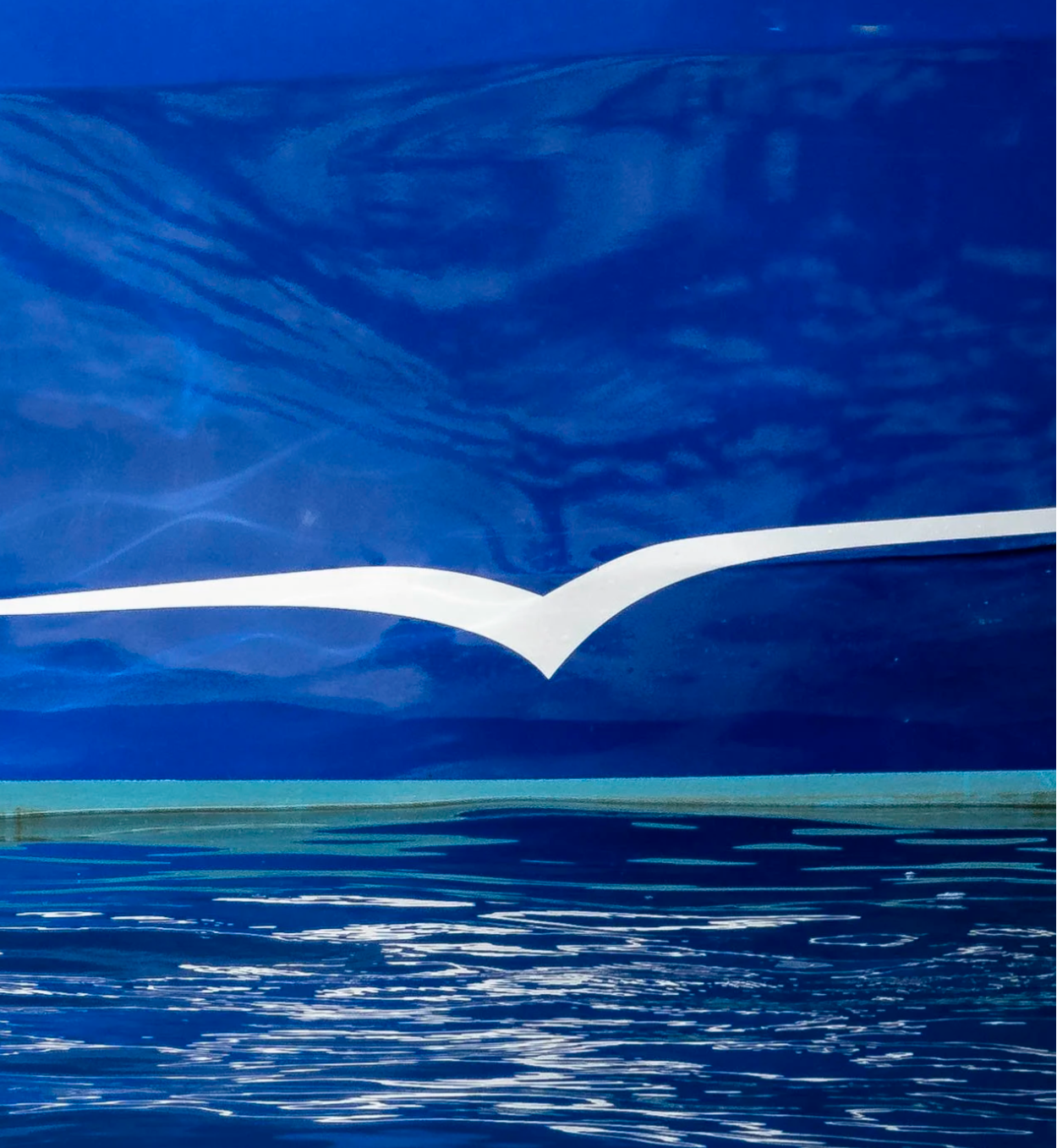 White bird silhouette against a blue water and sky background