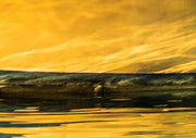 The Gold of Elan - Aerial & Earth artwork by Ralph Kerle, warm composition