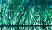 Treecolour by Ralph Kerle, green and turquoise abstract water reflection artwork.