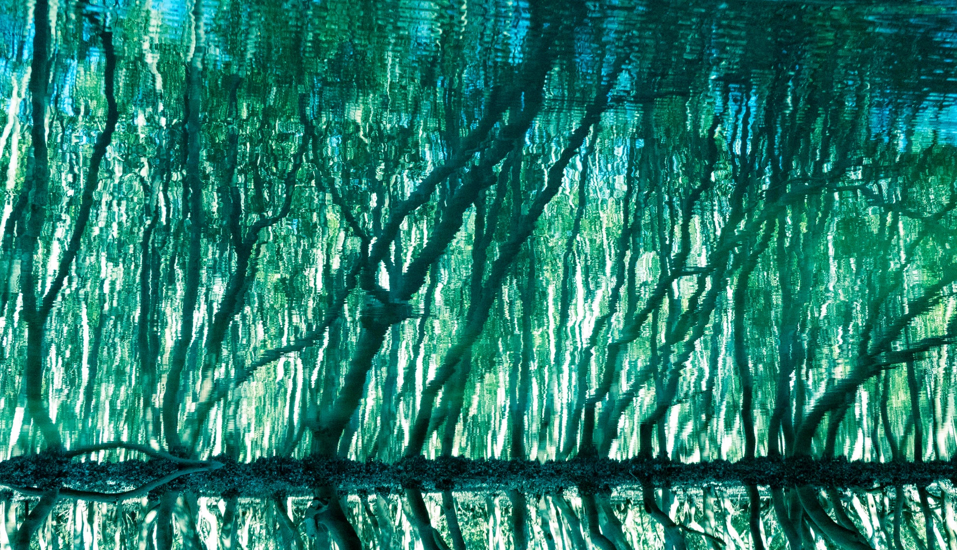 Treecolour by Ralph Kerle, green and turquoise abstract water reflection artwork.