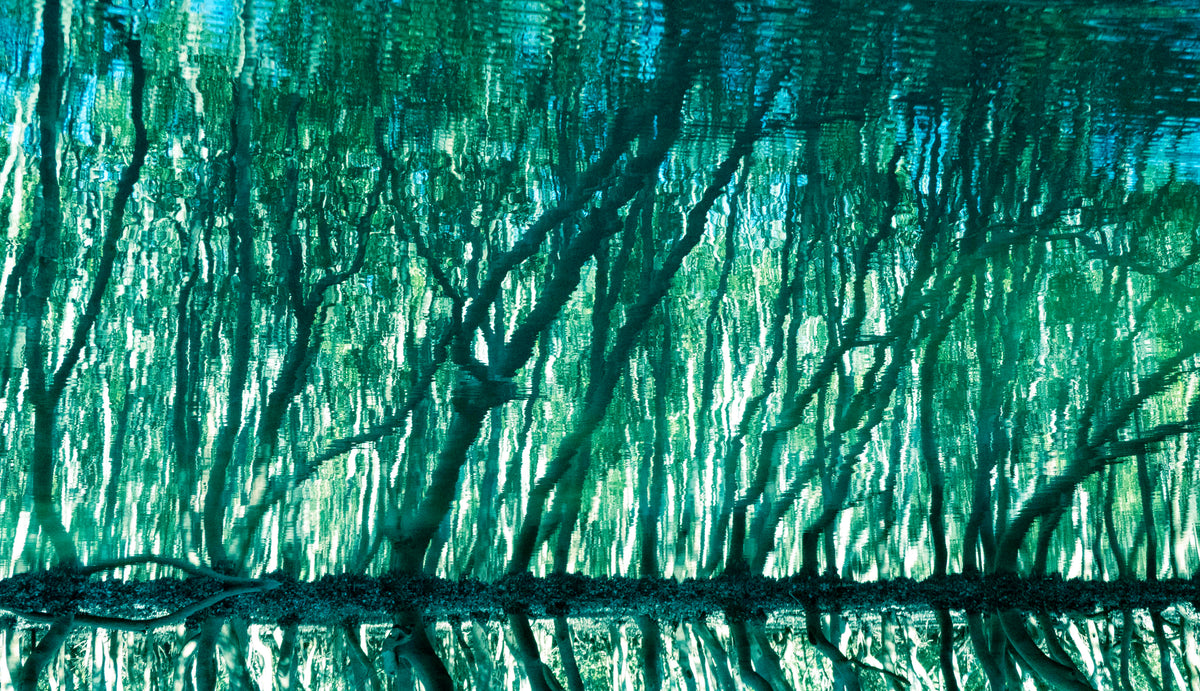 Treecolour artwork by Ralph Kerle